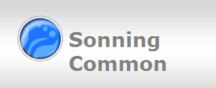 Sonning 
Common